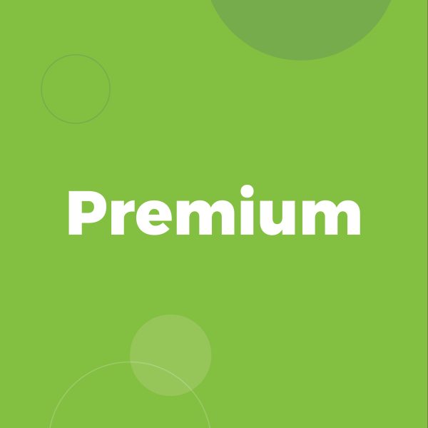 Monthly Website Maintenance Premium